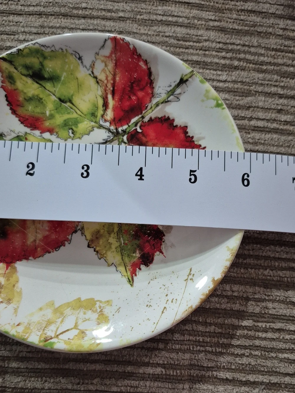Pier 1 Woodland Leaves  Ceramic Plate with Colorful Fall Leaves. 6